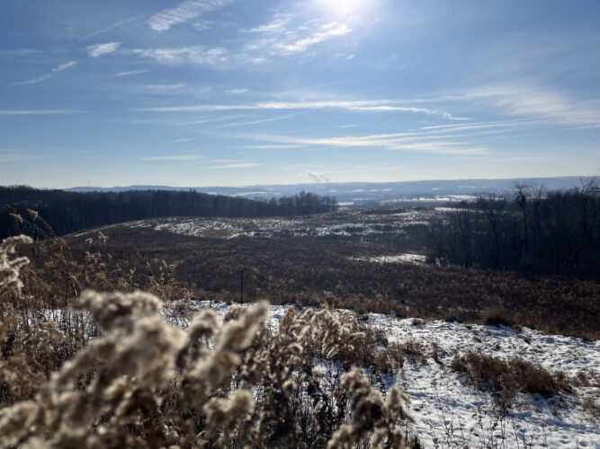 116-acre property near Hughesville donated to Northcentral Pennsylvania Conservancy